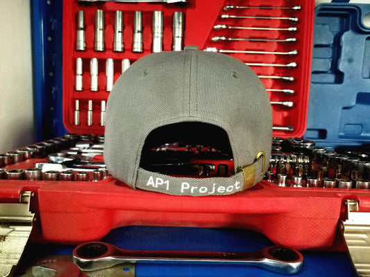 AP1 Project Cap - Gray
