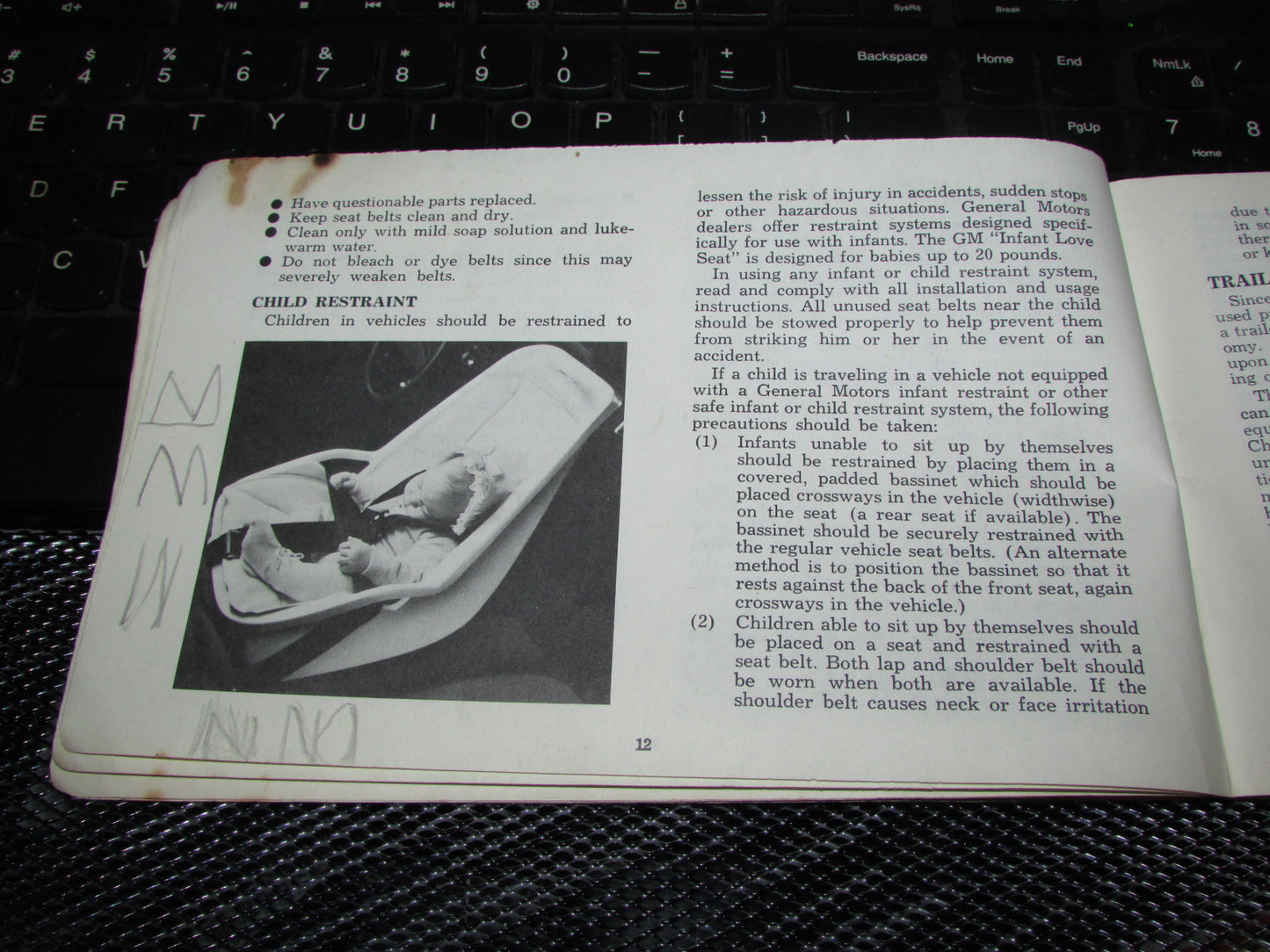 Chevrolet Light Duty Truck Gasoline (1974) Owners Manual