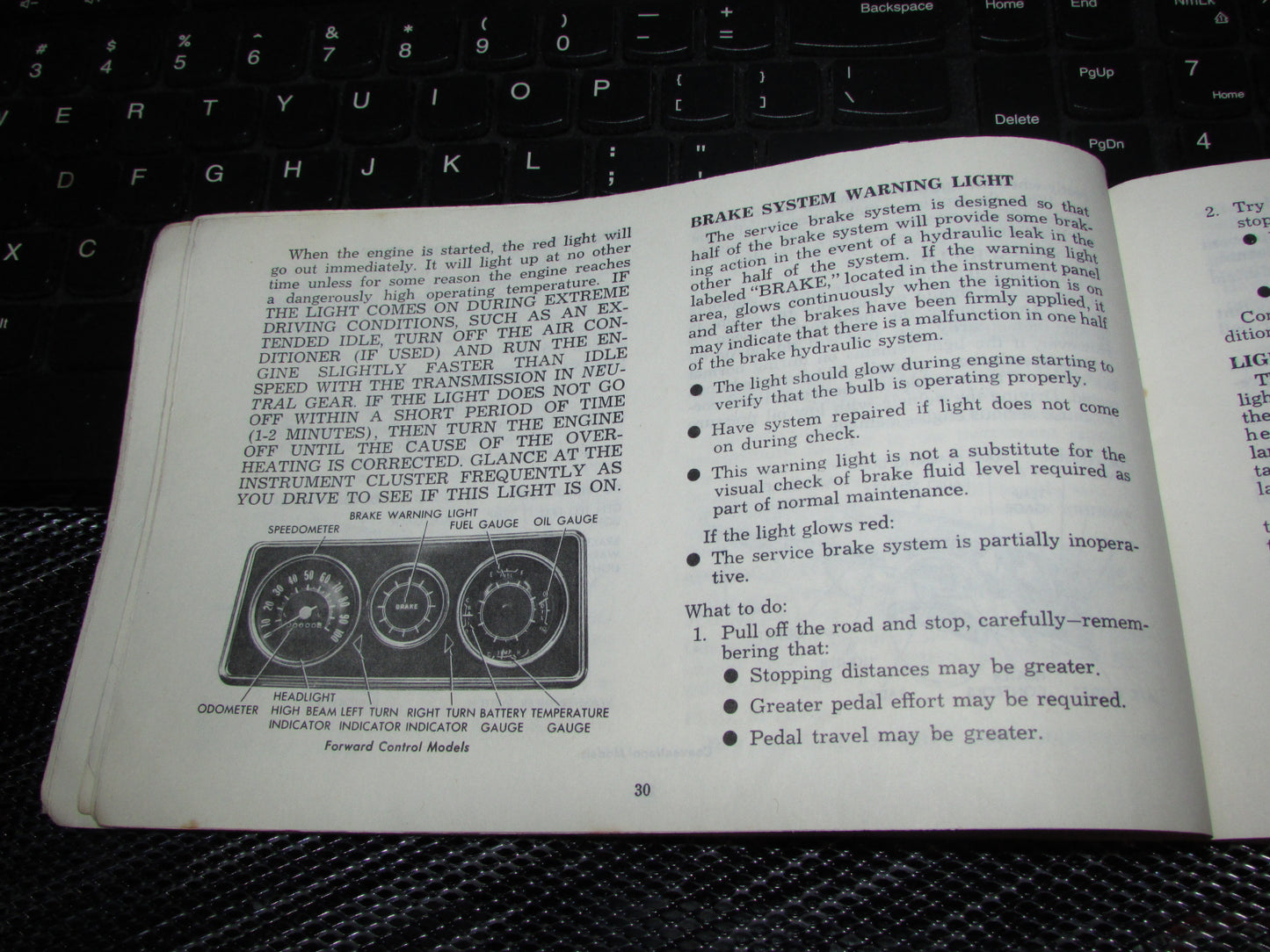 Chevrolet Light Duty Truck Gasoline (1974) Owners Manual