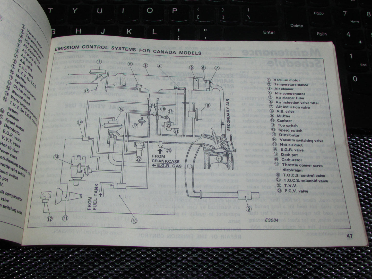 Datsun 310 (1980) Owners Manual