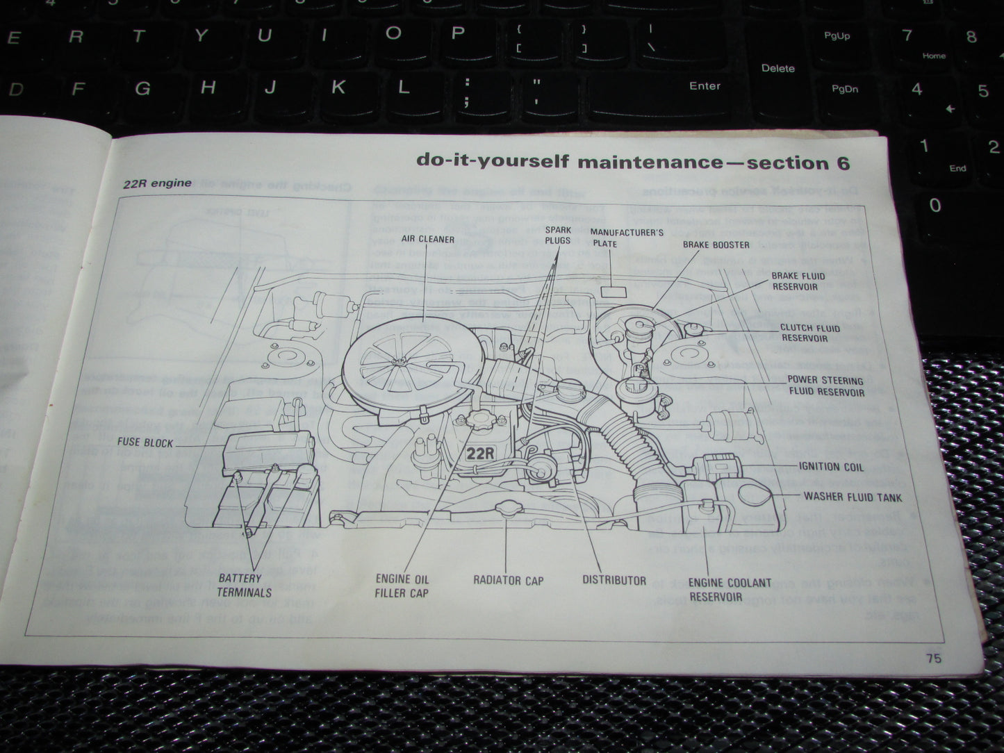 Toyota Celica (1982) Owners Manual