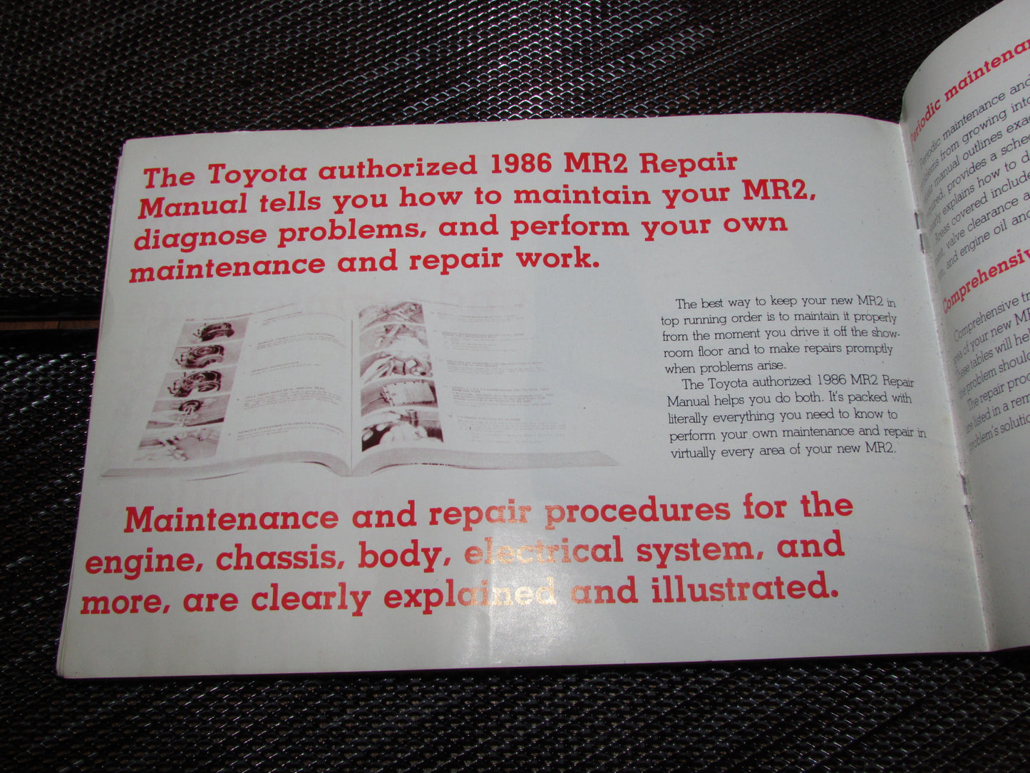 Toyota MR2 (1986) Owners Manual