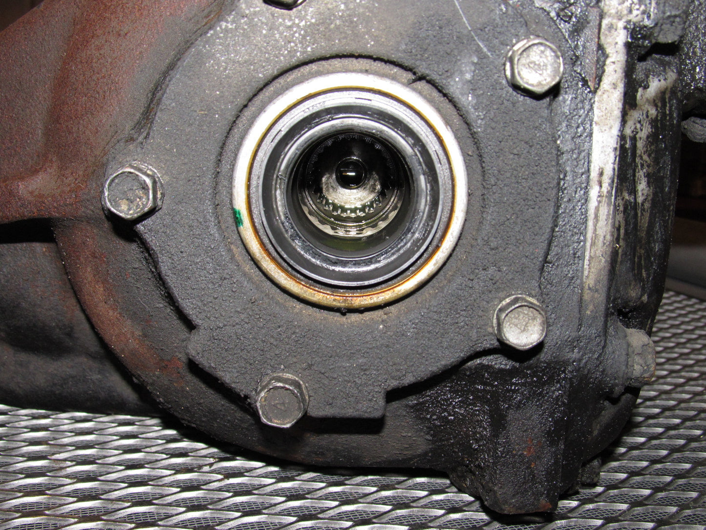 Duふぃ グイディ GUIDI 788ZX Back Zip Boots Double Sole Wide Model