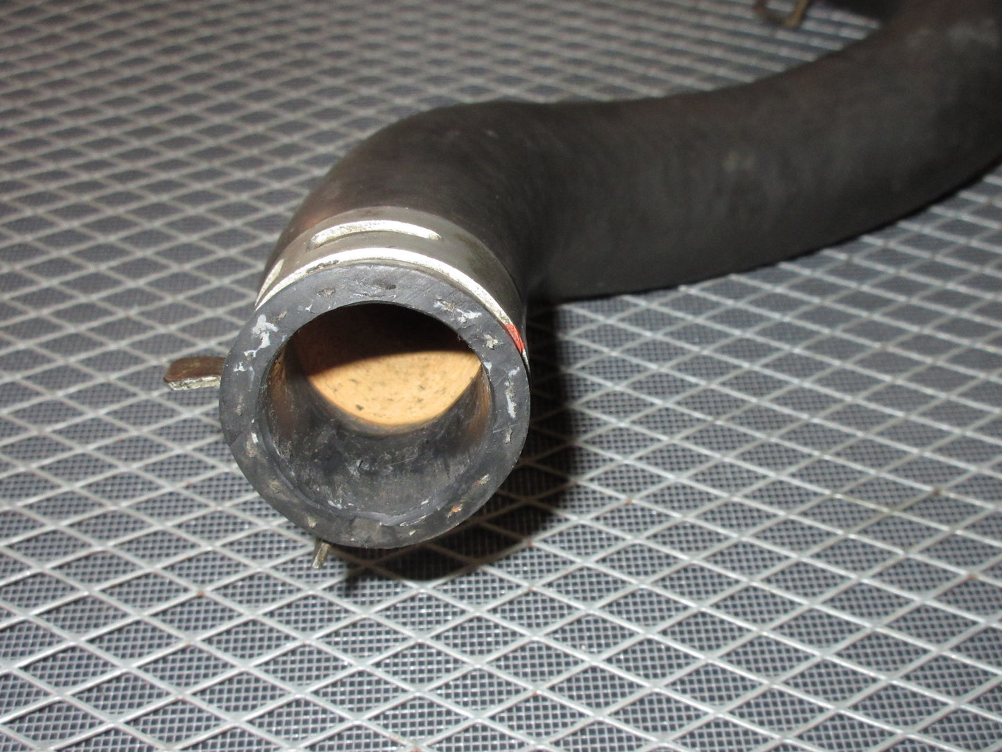 JDM 94 95 96 97 Honda Accord F22B None Vtec Upper Radiator Hose