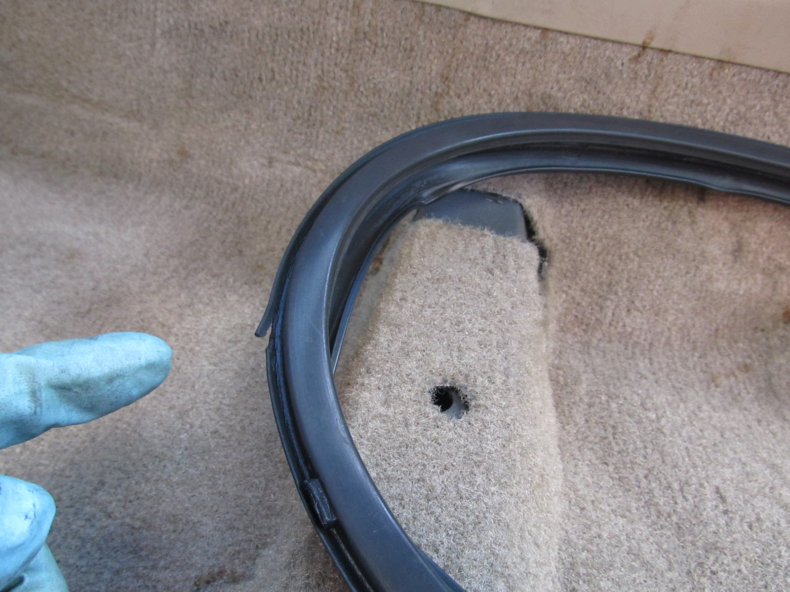 97 98 99 00 01 Honda Prelude OEM Exterior Door Window Weather Strippin ...