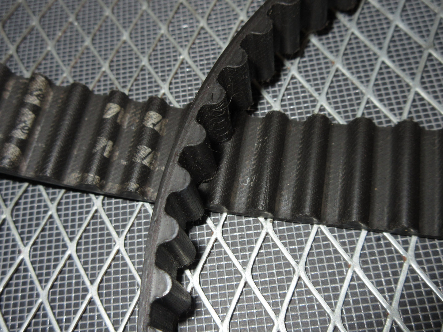 JDM 94 95 96 97 Honda Accord F22B None Vtec Engine Timing Belt