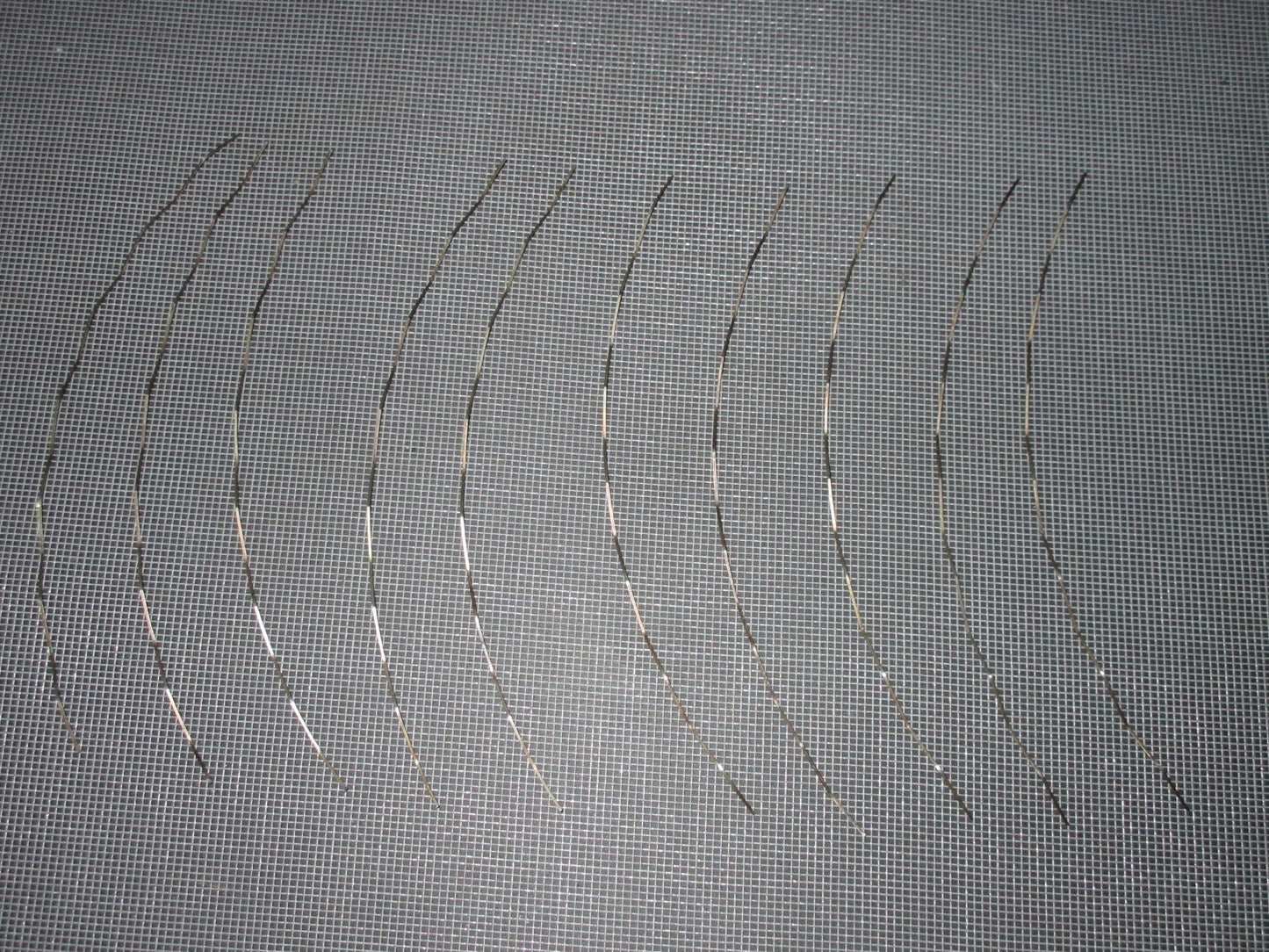 04 05 06 07 08 Mazda RX8 JDM Rotor Side Seal Springs
