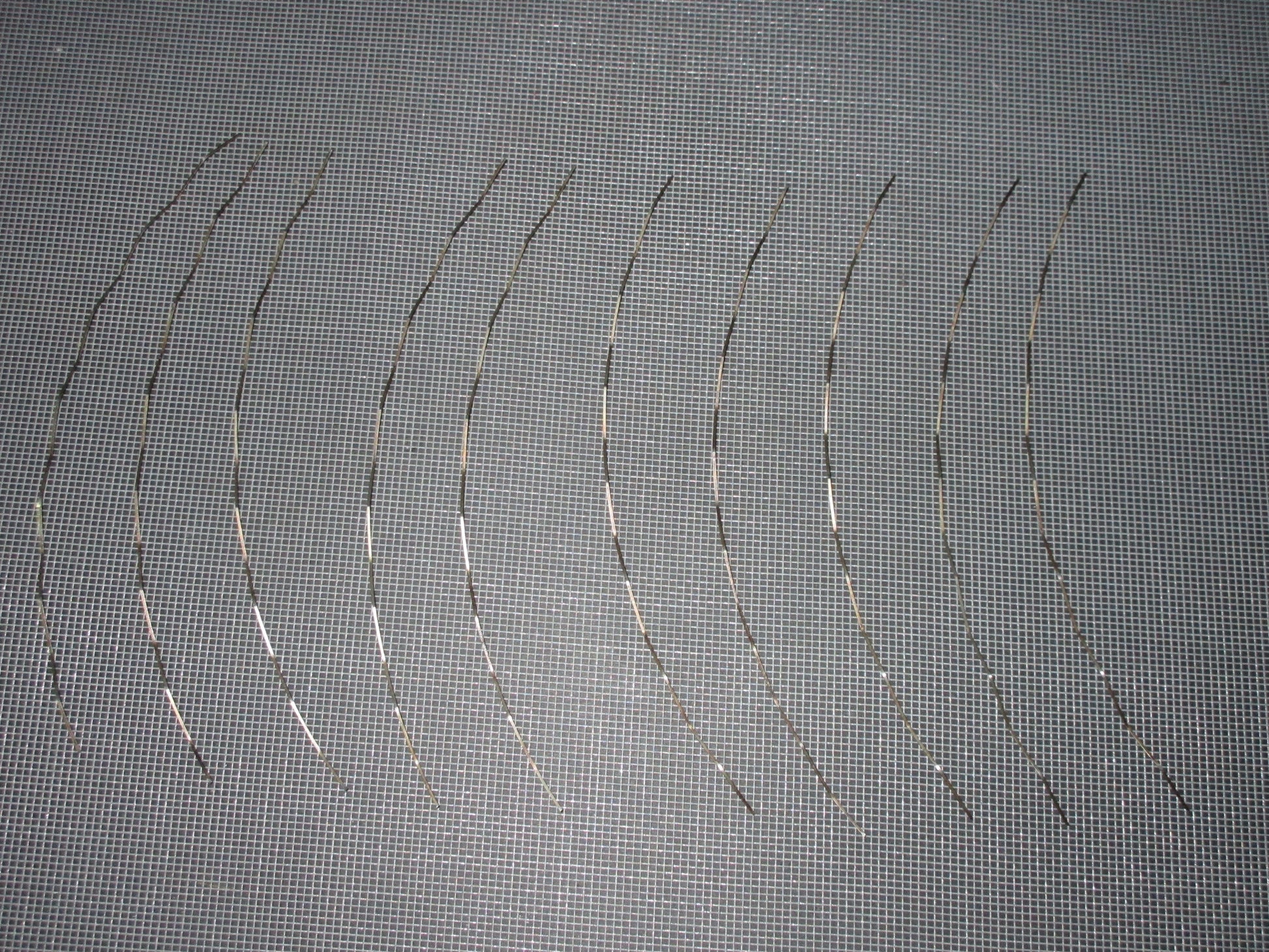 04 05 06 07 08 Mazda RX8 JDM Rotor Side Seal Springs