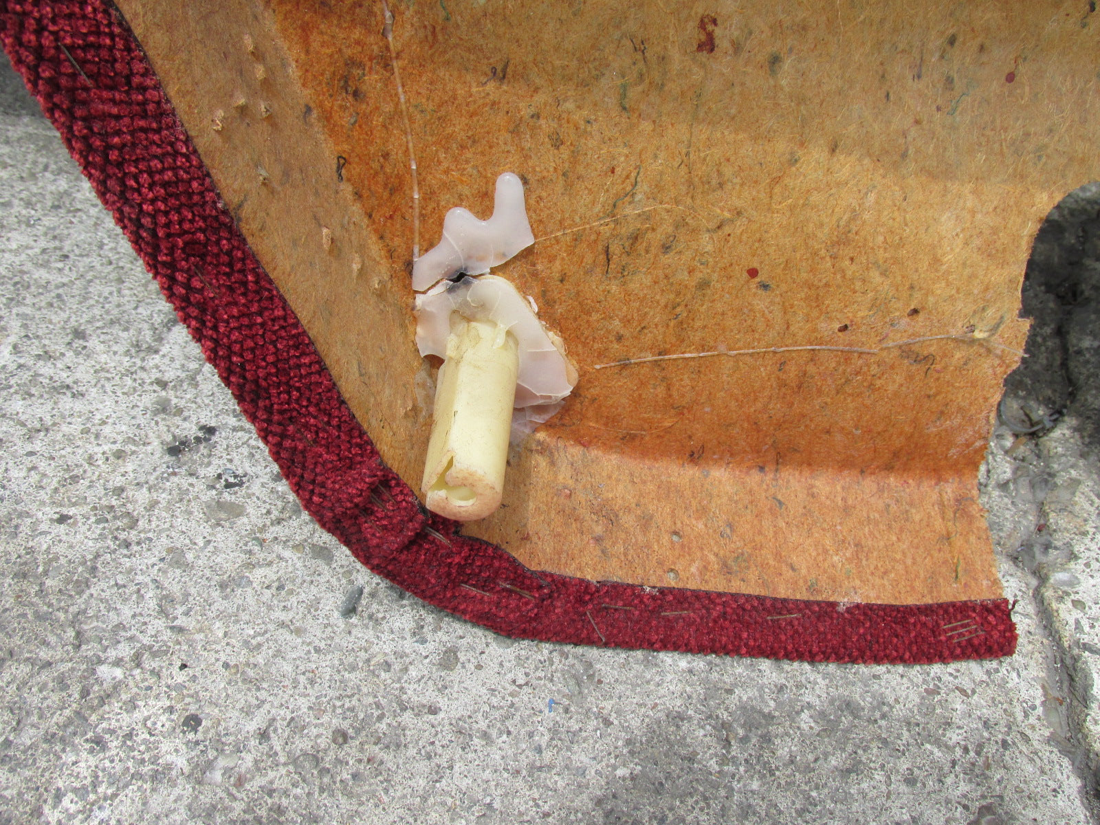 内田 Frontiers | Effects of multi-organ crosstalk on the physiology and