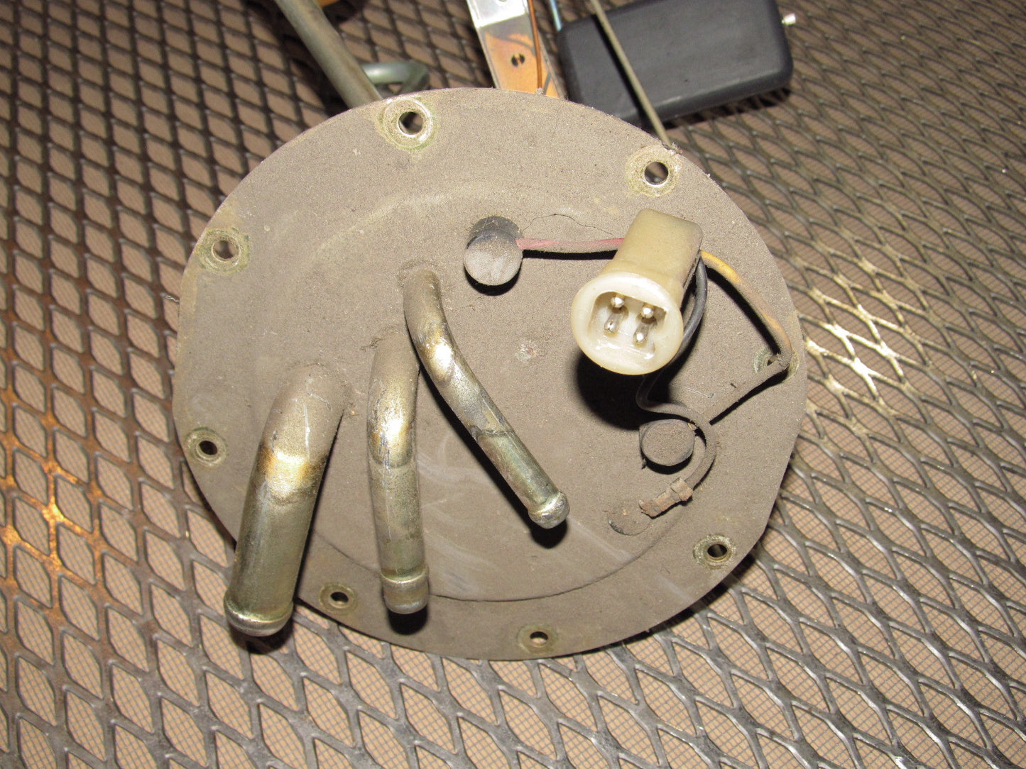 【SunSunSuny】速達 SUNSTAR ZX30/ZX32 GAS SPRINGS/SHOCKS | Atlantic Tan